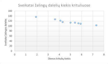 Sklaidos pantas: palyginamoji diagrama apie populiarias parkavimo programėles