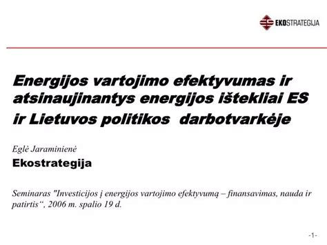 ES etiketės pavyzdys: energijos vartojimo efektyvumas, sukibimas šlapioje kelio dangoje