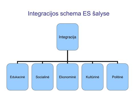Mapa: E39 modelio techninių aksesuarų integracijos schema
