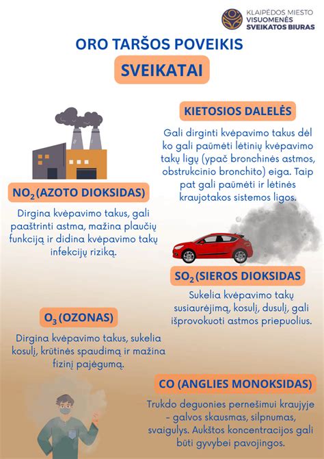 Infografika, rodanti oro taršos poveikį skirtingoms sveikatos sistemoms (kvėpavimo, širdies-kraujagyslių, nervų).