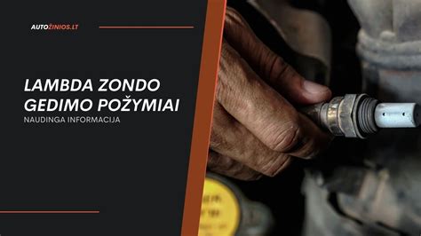 schema: lambda zondo vieta išmetimo sistemoje ir jo ryšys su variklio valdymo bloku