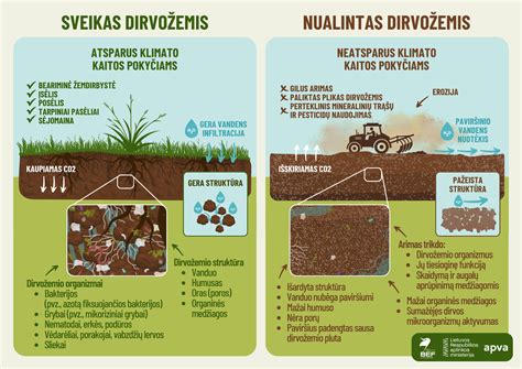 Schema, iliustruojanti tiksliosios žemdirbystės principus ir dirvožemio nevienodumo įtaką