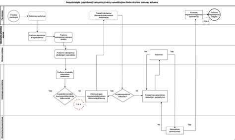 Registracijos proceso schema „Regitroje“