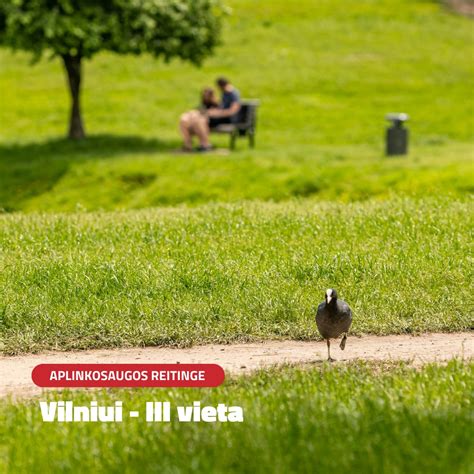 Foto reportažas iš Černobylio zonos gamtos: gamtos atsigavimas ir neįprasta gyvūnija.
