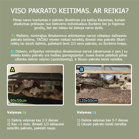 Tematinė nuotrauka, vaizduojanti Pablo Pikasą skirtingais gyvenimo etapais arba du aktorius, vaidinančius Pikasą
