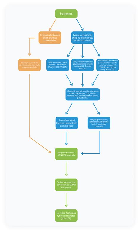 Schema su avarijos aplinkybių tyrimo etapais: laikas, vieta, dalyviai, sąlygos, priežastys, įrodymai.