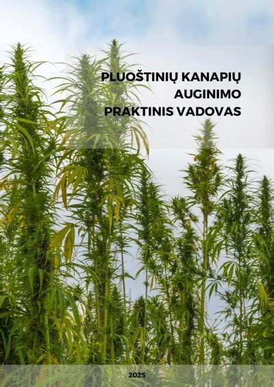infografika: teisiniai skirtumai tarp pluoštinių kanapių, dekoratyvinių ir opijinių aguonų auginimo