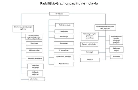Krovininio ir lengvojo transporto kategorijų struktūros schema