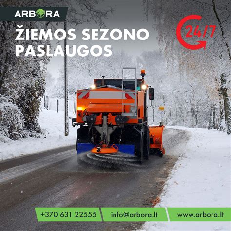 Infografikas: pagrindinės žiemos grėsmės automobilio dažams (druska, drėgmė, temperatūros svyravimai)