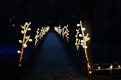 Vaizdas į šviečiančius vartus festivalio 
