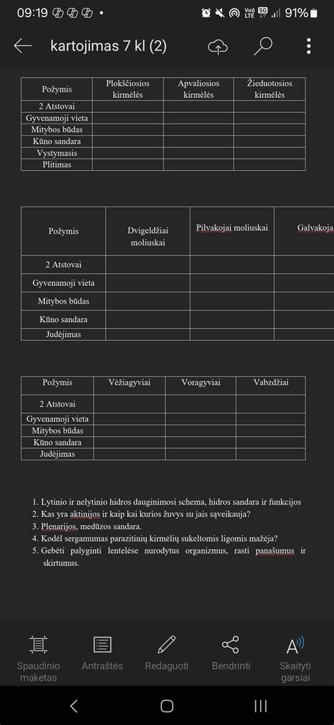 schema: amortizatoriaus sandara su nurodytomis slopintuvo ir apsaugos vietomis