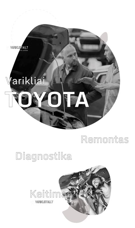 infografika, rodanti suderinamų „Toyota“ variklių modelius ir techninius parametrus