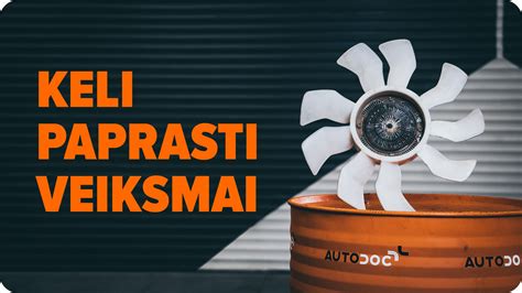 infografika su rekomendacijomis, kada keisti diržą atsižvelgiant į rida (vidutiniškai kas 60 000-100 000 km)