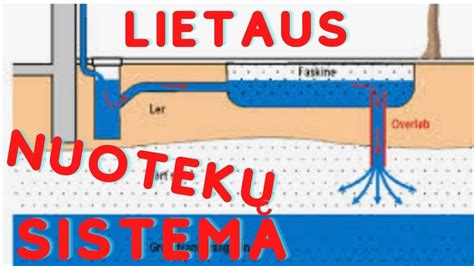 schema: vandens nutekėjimo kanalų (drenažų) sistemos išsidėstymas BMW E60/E61 modelyje