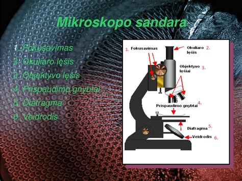 Infografika: žibinto sandara (lęšis, reflektorius, lemputė, ventiliacijos angos)