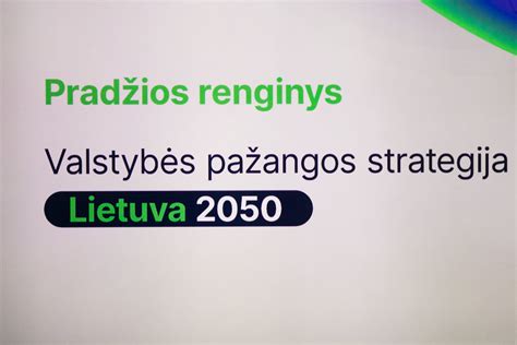 Autodalių parduotuvės vizijos ir strategijos infografika