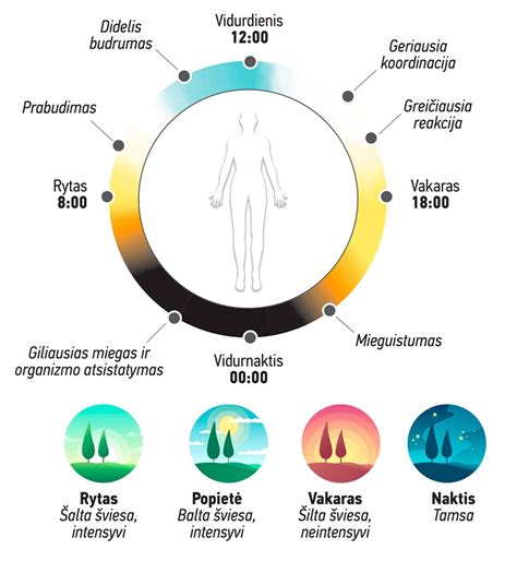 Infografika: mokėjimo proceso schema su ROIK svarba