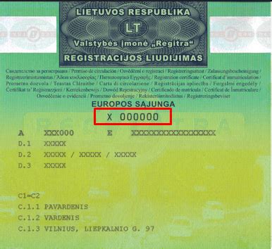 Teisėjas plaktuku ir automobilio dokumentai