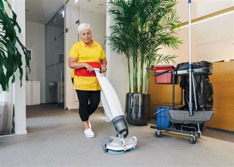 žibinto vidaus valymas minkšta šluoste