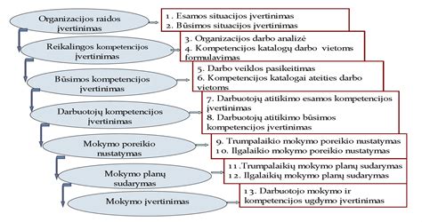 Profesinės kompetencijos egzamino struktūra ir pavyzdys