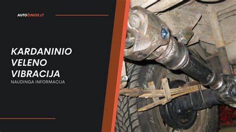 Infografika: Alkūninio veleno ir indeklų restauracijos procesas - nuo matavimo iki galutinio surinkimo