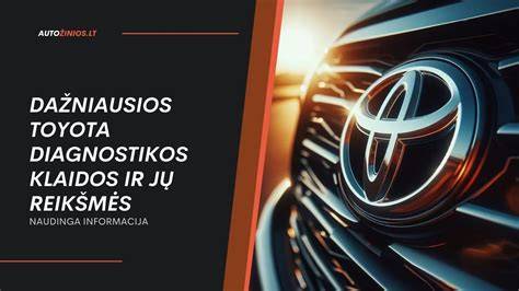 Infografika: filtrų rūšys ir jų paskirtis Toyota IQ (_GJ1_)