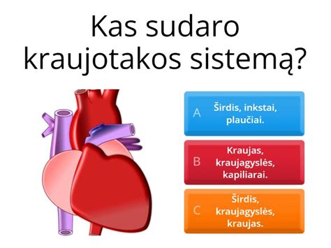 Infografika: Aukšto kraujo spaudimo komplikacijos (širdis, smegenys, inkstai, akys)
