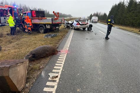 Tematinė nuotrauka: autoįvykis slidžiame kelyje arba susidūrimas su vilkiku