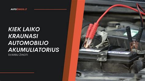 Infografika: Kaip veikia automobilio akumuliatorius