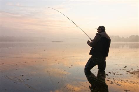 Žvejys paleidžia sugautą didelę lydeką atgal į vandens telkinį (catch and release)