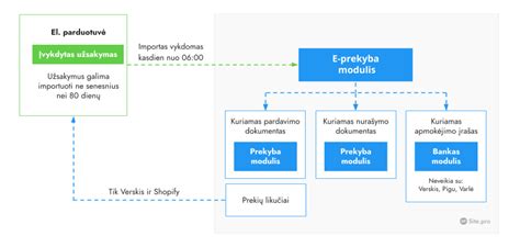 Infografika: įkroviklio veikimo schema