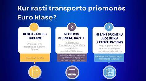Infografika: Kaip vyksta priverstinis transporto priemonės nuvežimas
