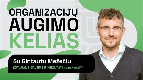 infografika: baudos išieškojimo ir skolos augimo etapai