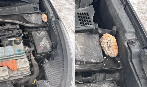 schema: skirtingų skysčių bakelių atpažinimas po automobilio kapotu