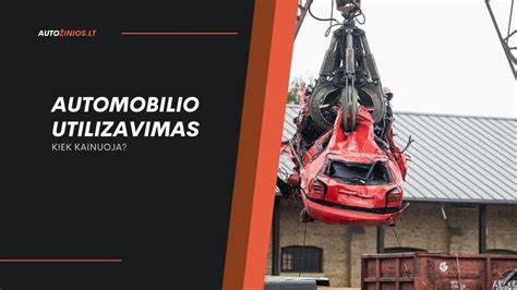 Nuotrauka: Automobilio utilizavimo aikštelė su perdirbamais automobiliais.