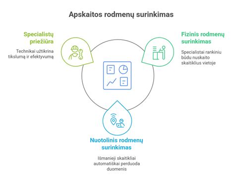 Diagrama: Apgaulingos apskaitos mechanizmai