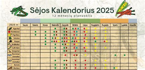 Infografika: Automobilio techninės priežiūros kalendorius