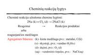 Švininio akumuliatoriaus cheminės reakcijos ir sandaros schema