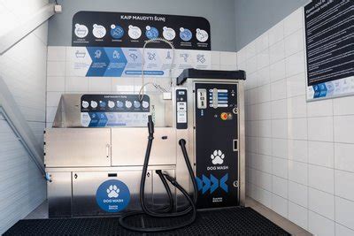 Šuo besimaudantis savitarnos DOG WASH zonoje
