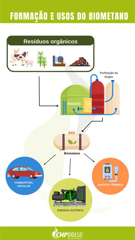 Infografika: Biometano gamybos ciklas ir nauda aplinkai
