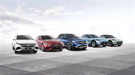 Diagrama: lojalumo modeliai Veho Mercedes-Benz tinkle