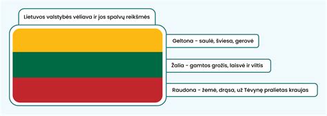 infografika: Lietuvos trispalvės spalvų išdėstymas, proporcijų santykis 3:5 ir vėliavos kėlimo laikas nuo 7 iki 22 valandos