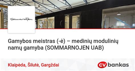 Modulinių namų gamybos procesų infografika