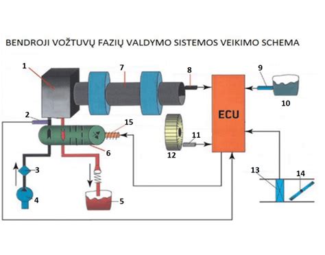 Įvairių dujų skirstymo velenų pavarų tipų schemos