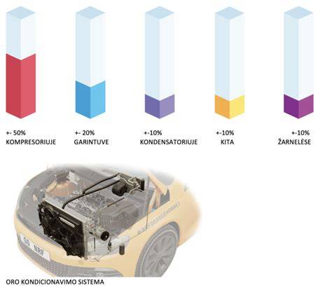 Infografika: AC sistemos dalys ir freono srautas