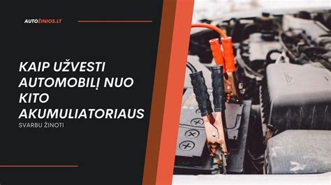 Infografika: žingsniai, kaip teisingai užvesti automobilį šaltu oru.