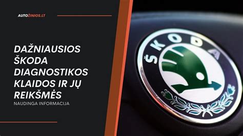 Infografika: Prins VSI sistemos klaidų kodai ir jų reikšmės