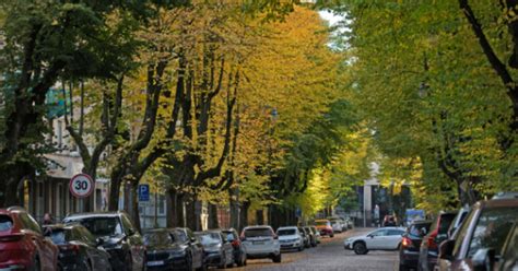 Apleistas Pripetės miestas, kurį apima gamta