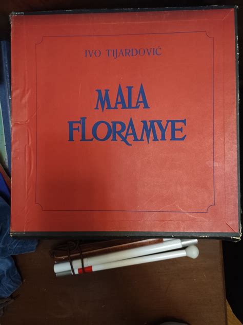 renovuojamo burlaivio „Mala Floramye“ nuotrauka