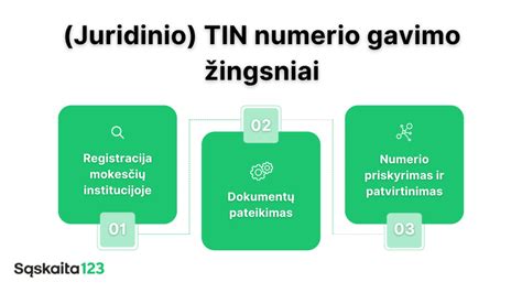 Schema, vaizduojanti skirtingas VIN numerio dalis ir jų reikšmes